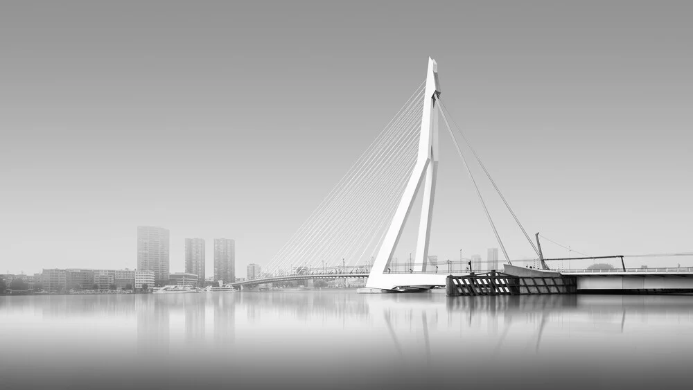The Swan | Rotterdam - fotokunst von Ronny Behnert