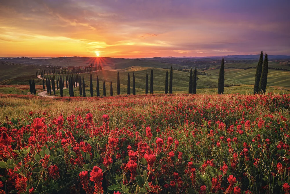 Toskana Crete Senesi zum Sonnenuntergang - fotokunst von Jean Claude Castor