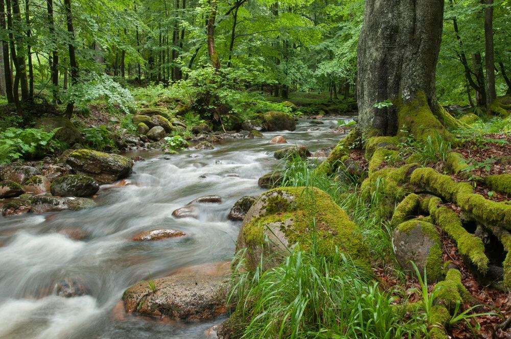 Kalte Bode - Fineart photography by Rainer Kohlrusch