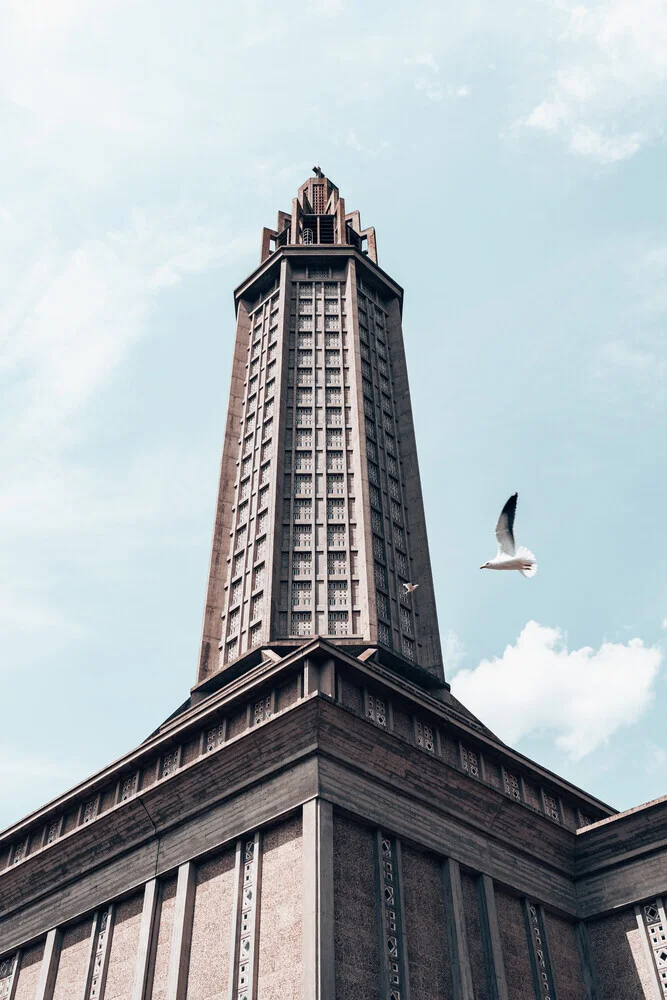 Möwe und Monument - fotokunst von Eva Stadler