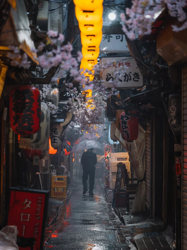 Regnerische Stimmung in Omoide Tokio - fotokunst von Luca Talarico