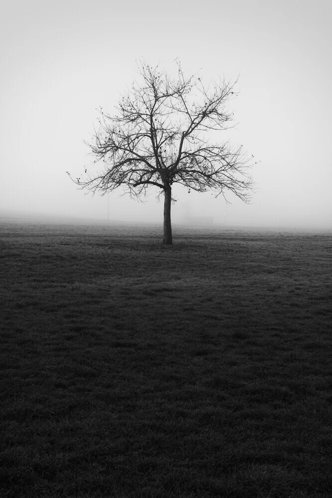 Der Apfelbaum - fotokunst von Manuela Deigert