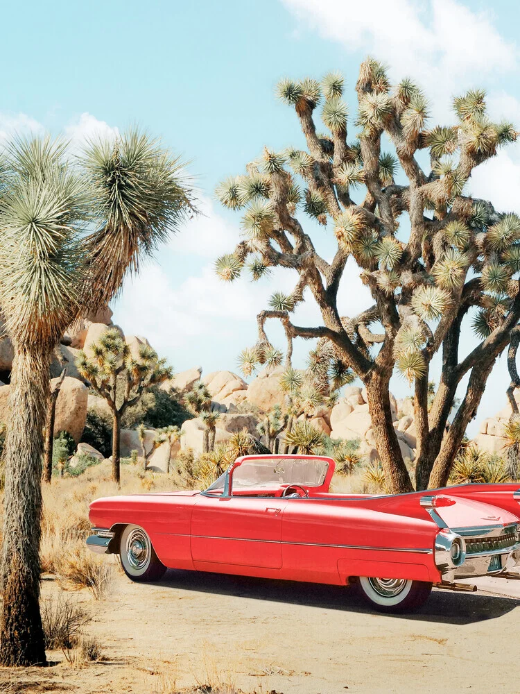 Vintage Road Trip - fotokunst von Gal Pittel