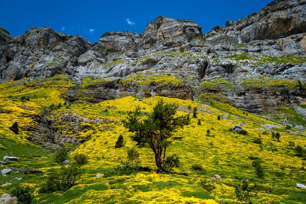 Ordesa National Parc #1 - fotokunst von J. Daniel Hunger