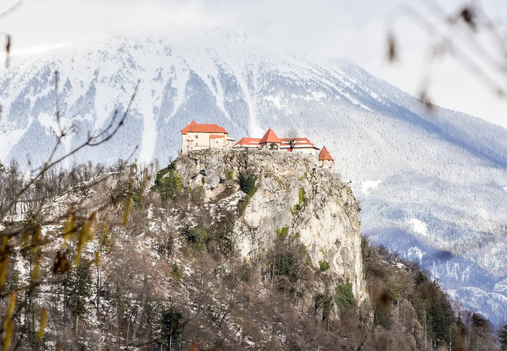 The Mountain Collection | Castle of Bled - fotokunst von Lotte Wildiers