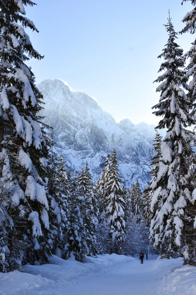 The Mountain Collection | Winter Hike - fotokunst von Lotte Wildiers