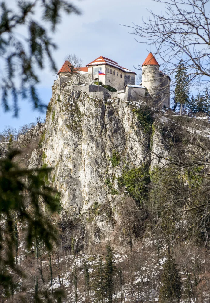 The Mountain Collection | Bled Castle - fotokunst von Lotte Wildiers