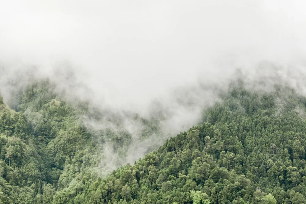 The Mountain Collection | Azorean Mists - fotokunst von Lotte Wildiers