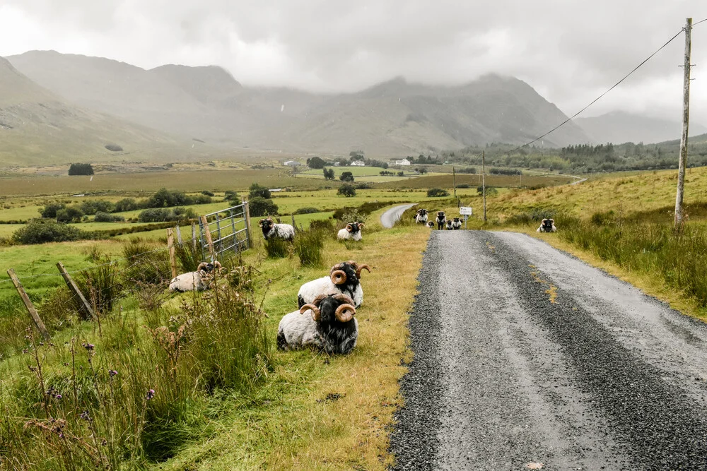 The Mountain Collection | Connemara Road - fotokunst von Lotte Wildiers