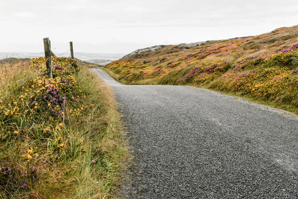 The Nature Collection | Sky Road - Fineart photography by Lotte Wildiers