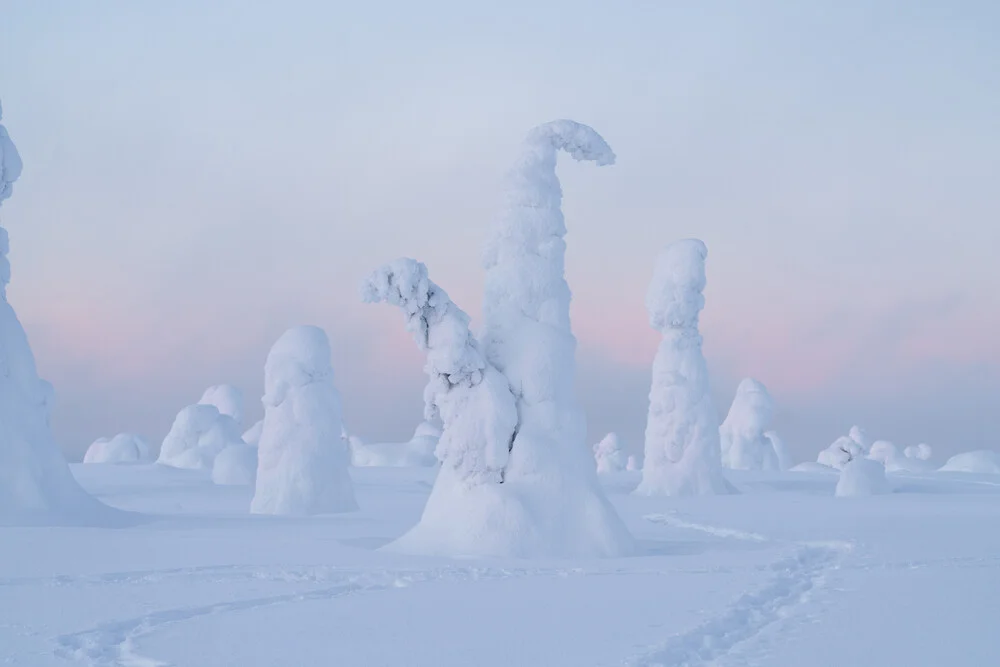 Riisitunturi - fotokunst von Jonas Hafner