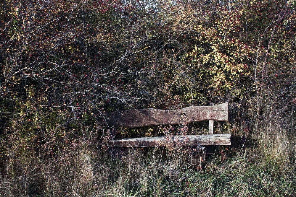 Sitzbank im Wald - fotokunst von Manuela Deigert