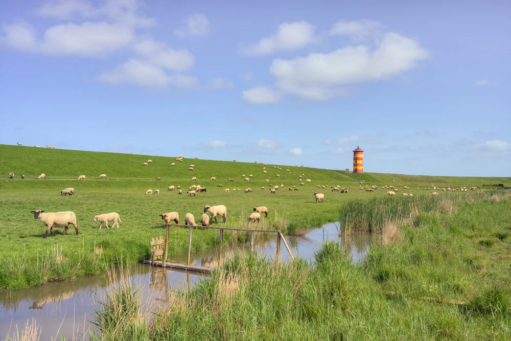 Schafherde beim Pilsumer Leuchtturm in Ostfriesland - fotokunst von Michael Valjak