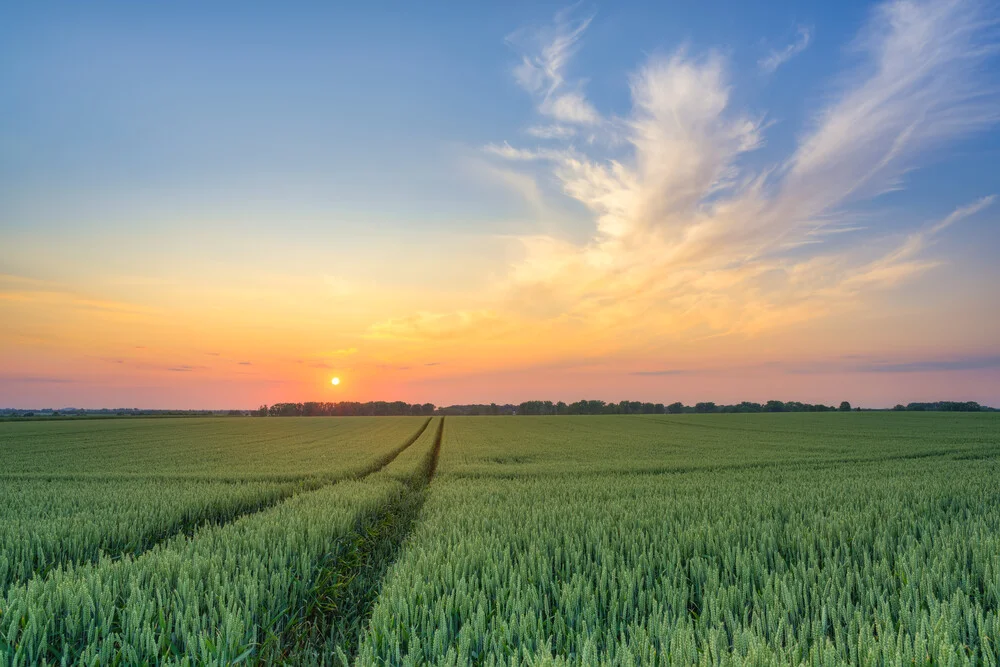 Sonnenuntergang im Weizenfeld - fotokunst von Michael Valjak