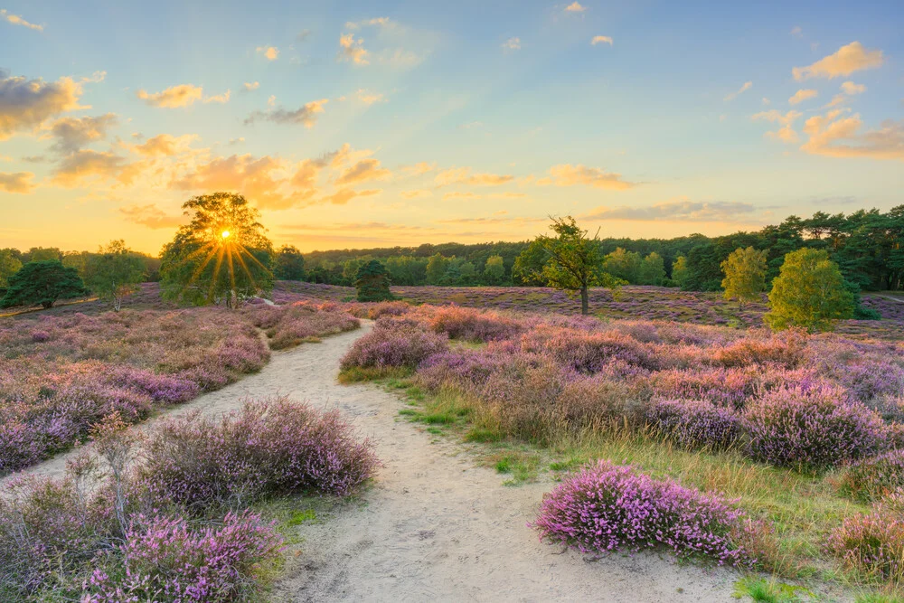 Sonnenuntergang in der Heide - fotokunst von Michael Valjak