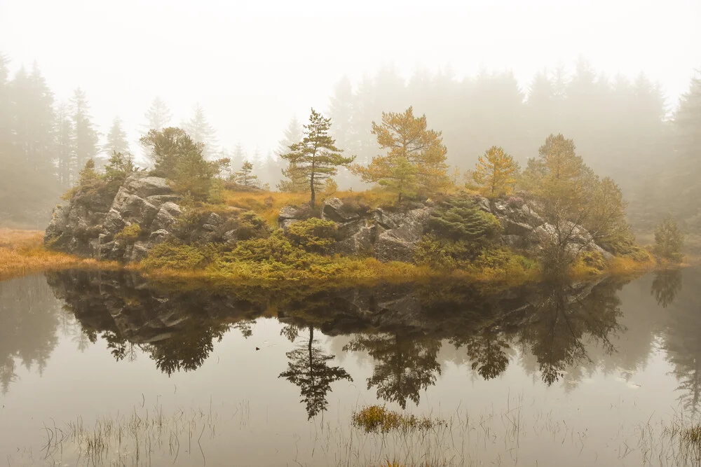 The Nature Collection | Norwegian Marshes - fotokunst von Lotte Wildiers