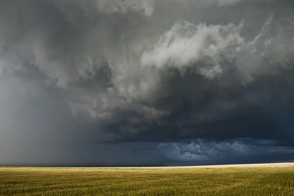 Wild Kansas - fotokunst von Dennis Oswald