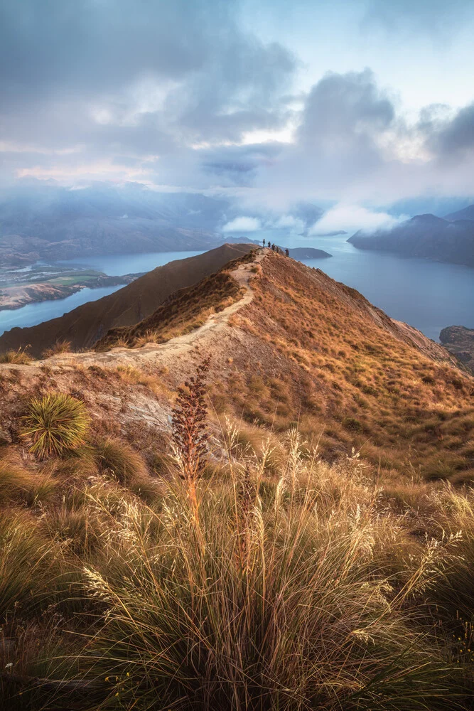 Neuseeland Roy's Peak am Morgen - fotokunst von Jean Claude Castor
