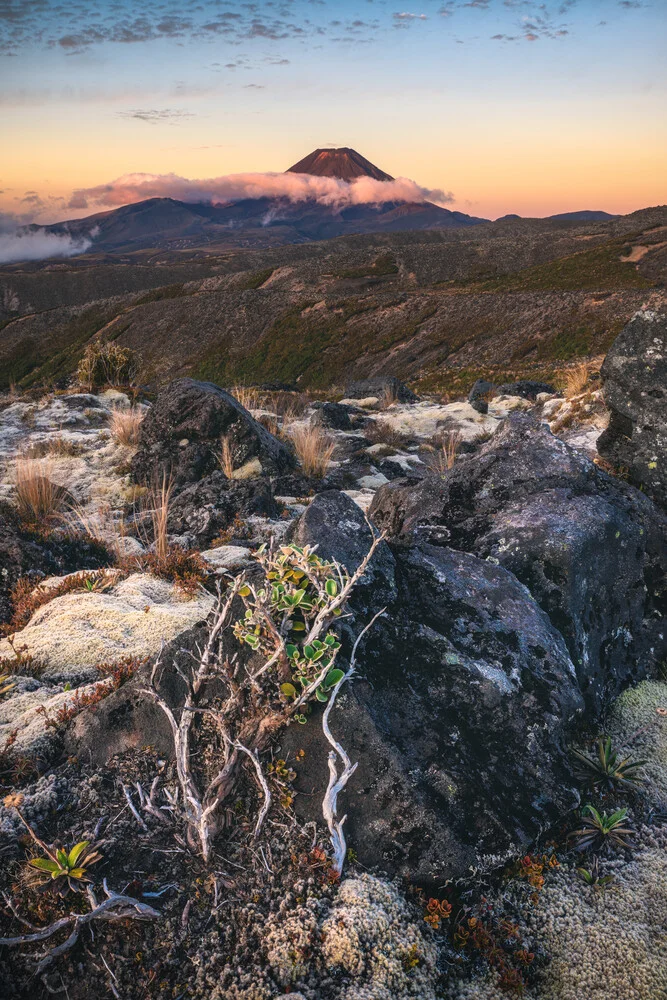 Neuseeland Tongariro Nationalpark am Abend - fotokunst von Jean Claude Castor