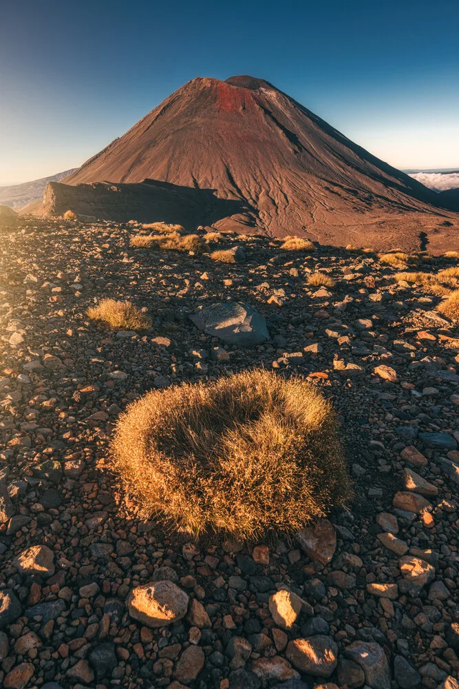 Neuseeland Mount Ngauruhoe am Morgen - fotokunst von Jean Claude Castor