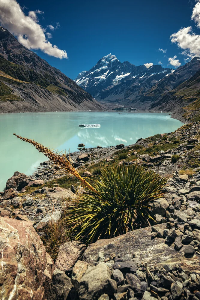 Neuseeland Hooker Lake mit Mount Cook - fotokunst von Jean Claude Castor