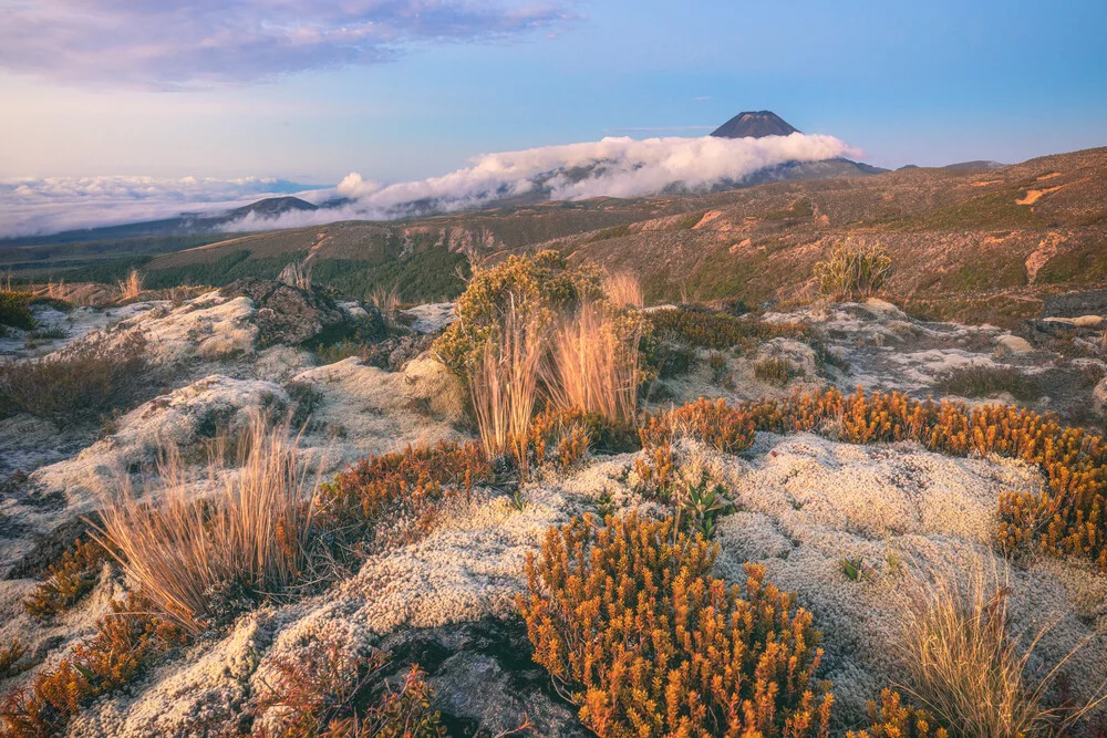 Neuseeland Mount Ngauruhoe in der Abenddämmerung - fotokunst von Jean Claude Castor