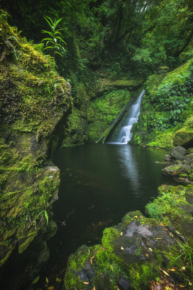 Neuseeland Wasserfall in den Catlins auf der Südinsel - fotokunst von Jean Claude Castor