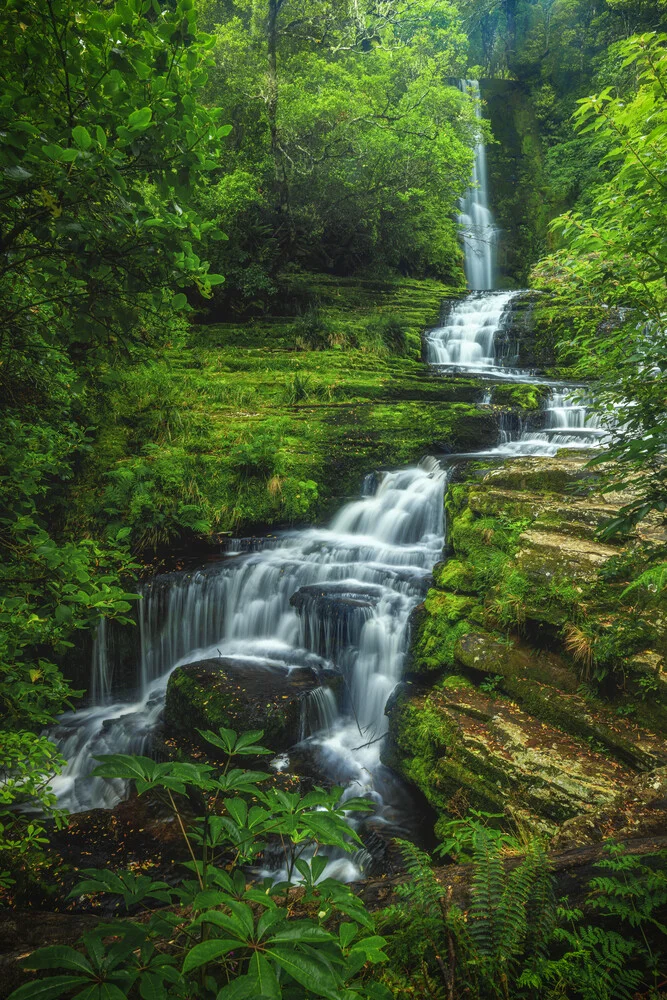 Neuseeland McLean Wasserfall - fotokunst von Jean Claude Castor