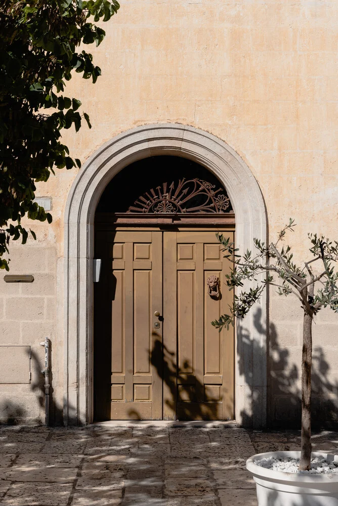 A plant and a door - fotokunst von Photolovers .