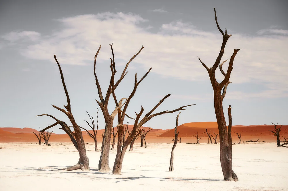 Deadvlei, Namibia - fotokunst von Norbert Gräf