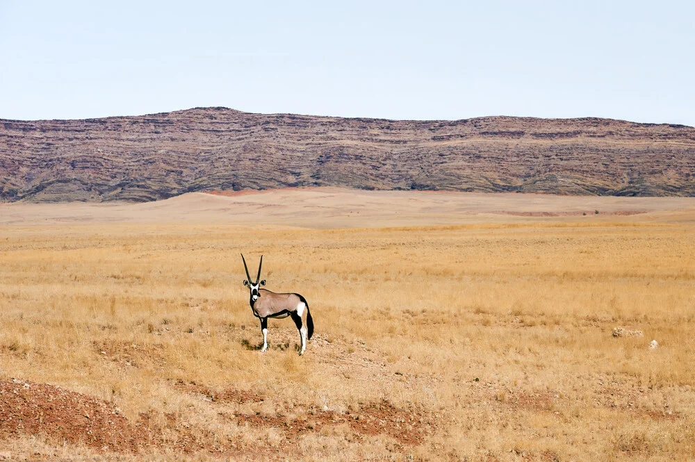 Oryx Antilope im Namib-Naukluft-Nationalpark, Namibia - fotokunst von Norbert Gräf