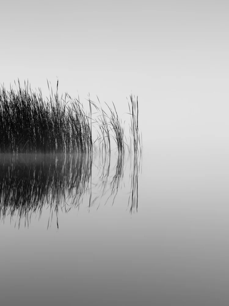 still morning at the lake - fotokunst von Holger Nimtz