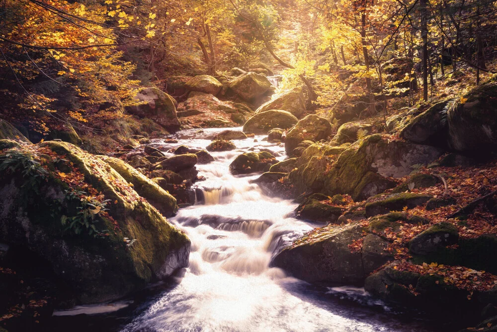 Verträumte Ilsefälle im Herbst - fotokunst von Oliver Henze