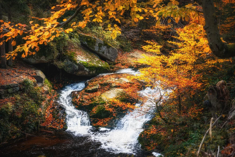 Der Herbst im Ilsetal - fotokunst von Oliver Henze