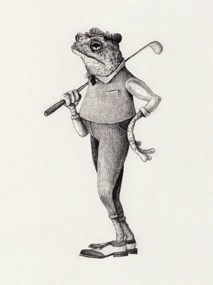 Frog Swing - fotokunst von Mike Koubou