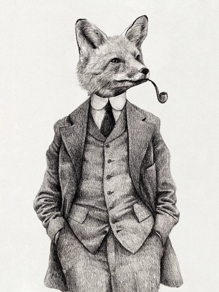 The Fox - fotokunst von Mike Koubou