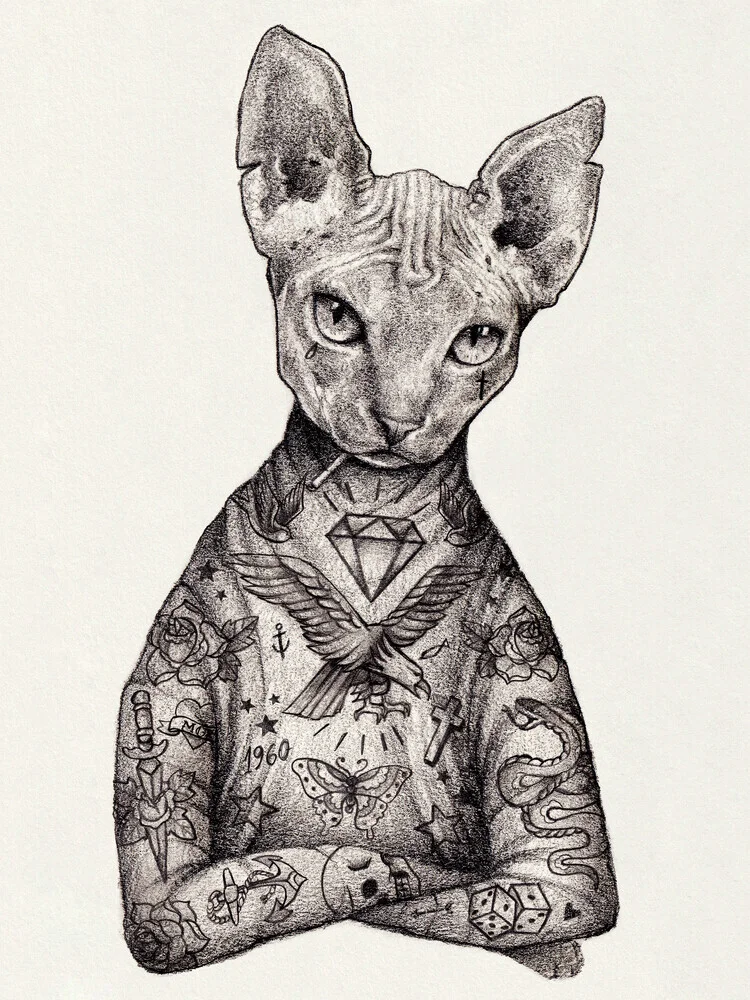 Sphynx - fotokunst von Mike Koubou