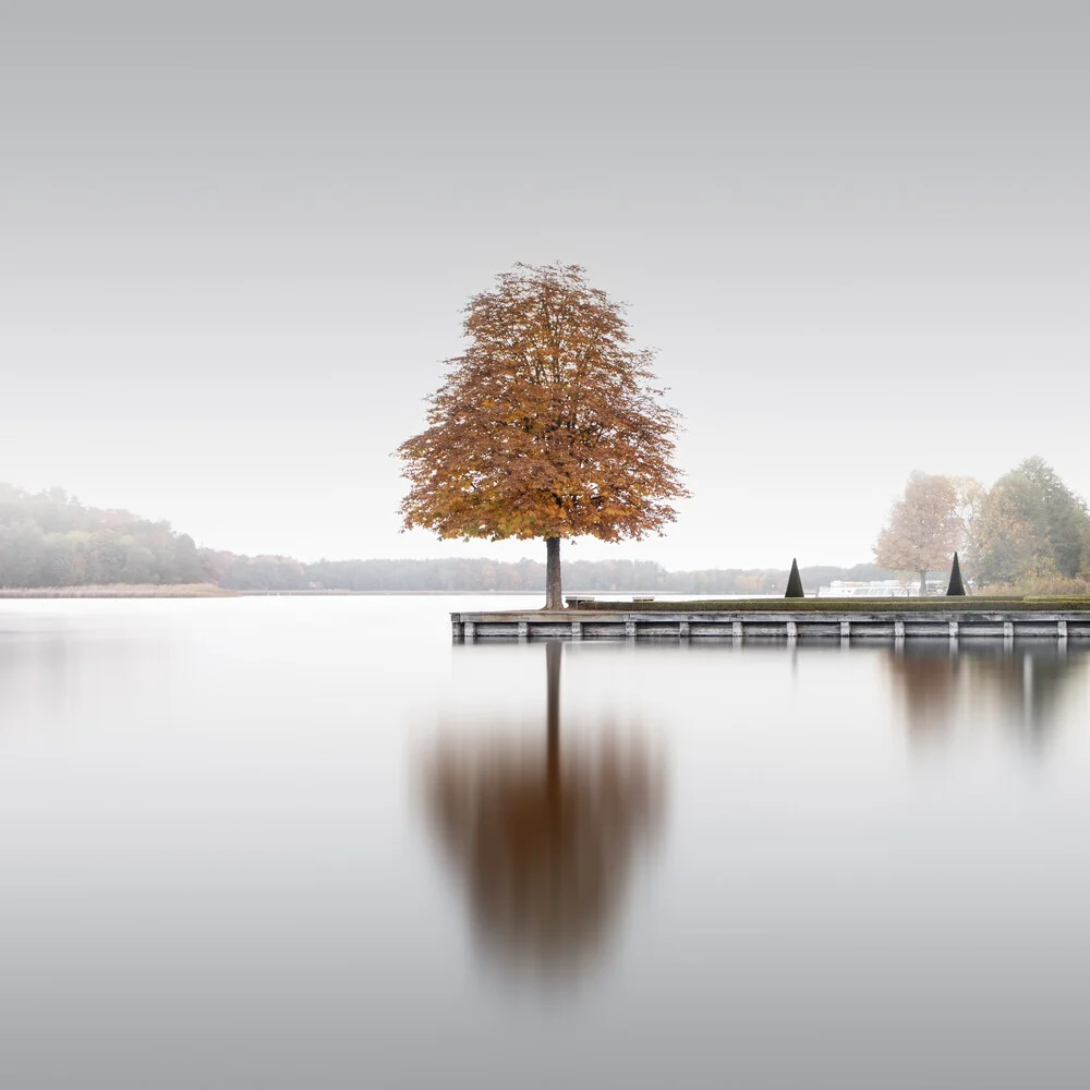 Rheinsberg Tree | Brandenburg - fotokunst von Ronny Behnert
