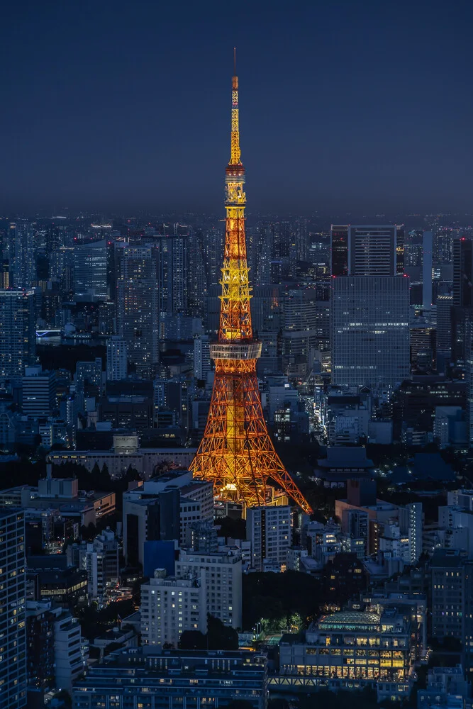Tokyo Tower - fotokunst von Michael Jurek