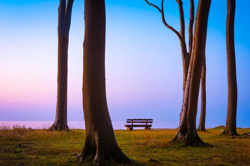 Abend im Gespensterwald - fotokunst von Martin Wasilewski