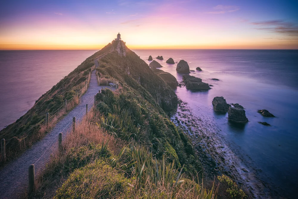 Neuseeland Nugget Point Leuchtturm Goldene Stunde - fotokunst von Jean Claude Castor