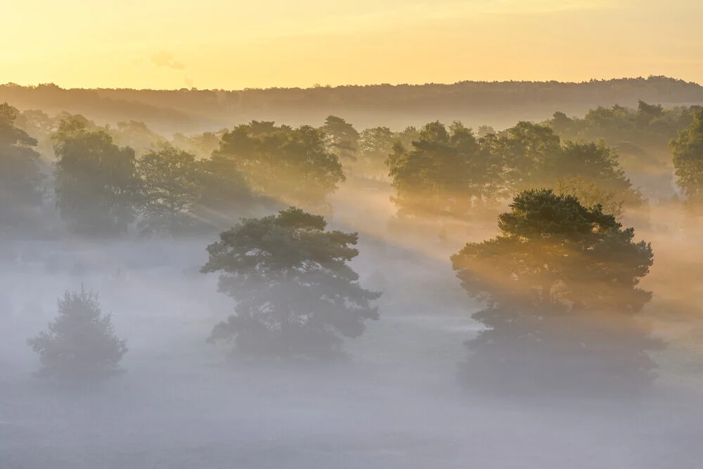 Sonnenaufgang in der Brunssumer Heide - fotokunst von Rolf Schnepp