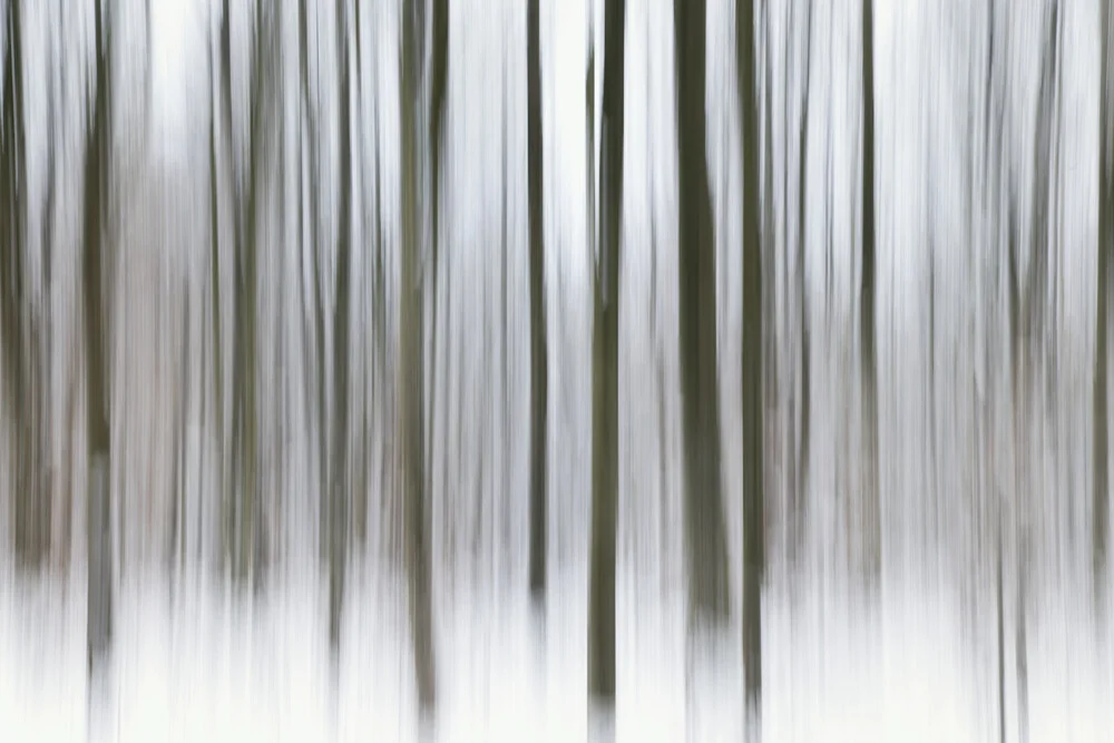 blurred winter forest - Fineart photography by Nadja Jacke