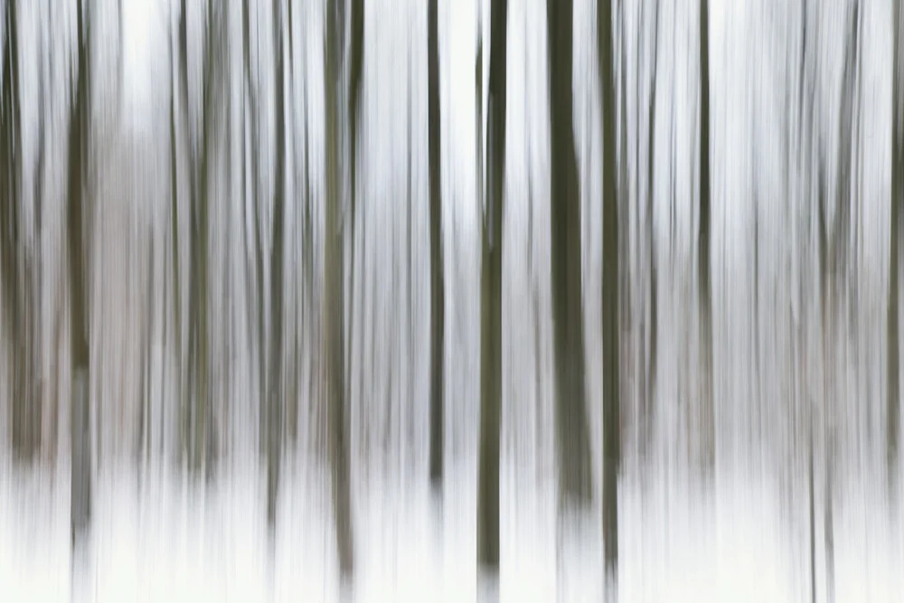 verwischter Winterwald - fotokunst von Nadja Jacke