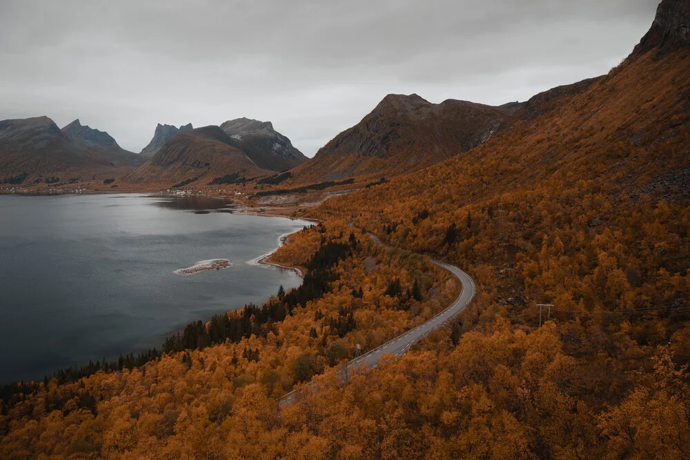 Straße in Lofoten im Herbst - fotokunst von Tobias Winkelmann