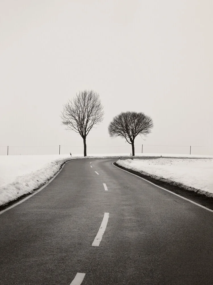 Winterliche Straße mit Bäumen - fotokunst von Lena Weisbek