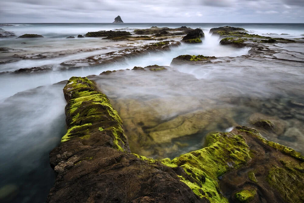 Wild Madeira - Fineart photography by Rolf Schnepp