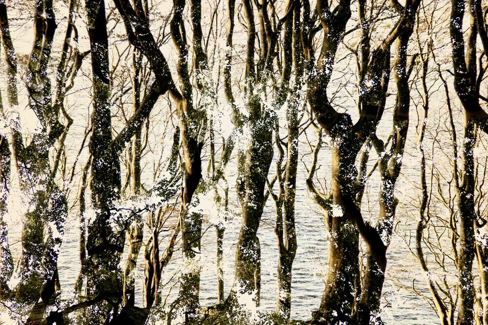 Wald-Wasser-Doppel - fotokunst von Nadja Jacke