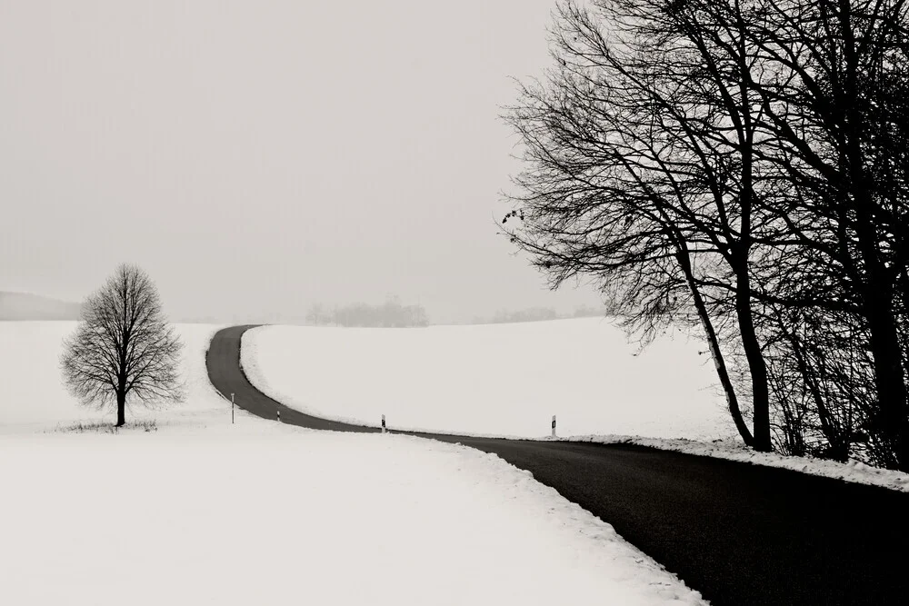 Rural Road - Fineart photography by Lena Weisbek