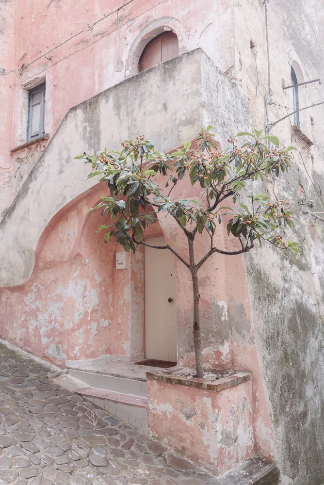 Pink house - fotokunst von Photolovers .